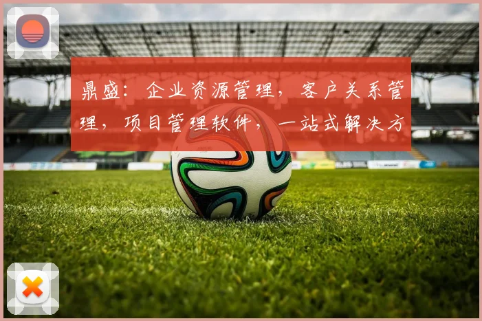 鼎盛：企业资源管理，客户关系管理，项目管理软件，一站式解决方案三合一